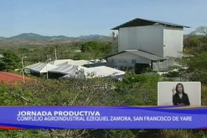 Recuperación de planta alimentos para animales en Valles del Tuy