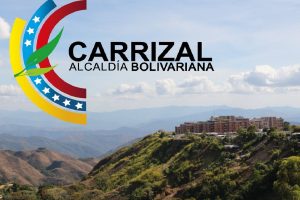 Carnaval en Carrizal 2019 (Foto alcaldía)