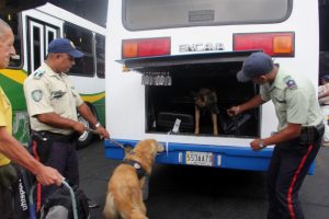 Dispositivo Semana Santa Segura 2019 garantiza feliz retorno de temporadistas