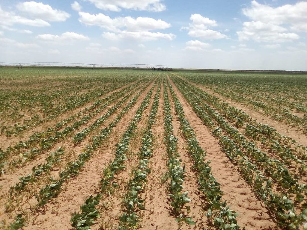 Venezuela suscribe con Rusia seis acuerdos para el desarrollo agrícola