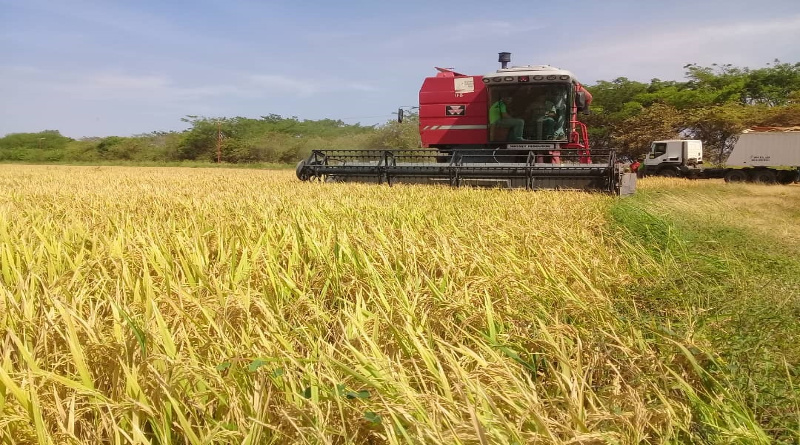Venezuela suscribe con Rusia seis acuerdos para el desarrollo agrícola