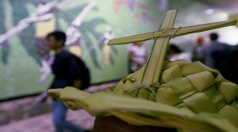 Asociación Civil Palmeros de Chacao subirá al Parque Nacional Waraira Repano, para retirar las palmas que usará la feligresía católica el próximo Domingo de Ramos (Foto Gob. Miranda)