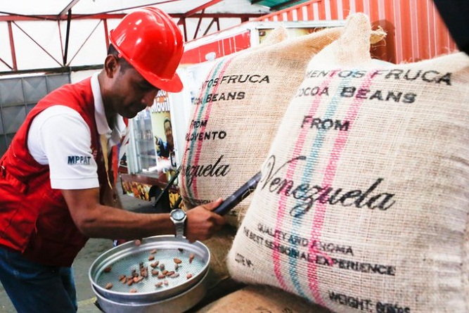  Miércoles Productivo:  Miranda exporta 50 mil kilos de cacao de Barlovento (Foto Prensa Presidencial)