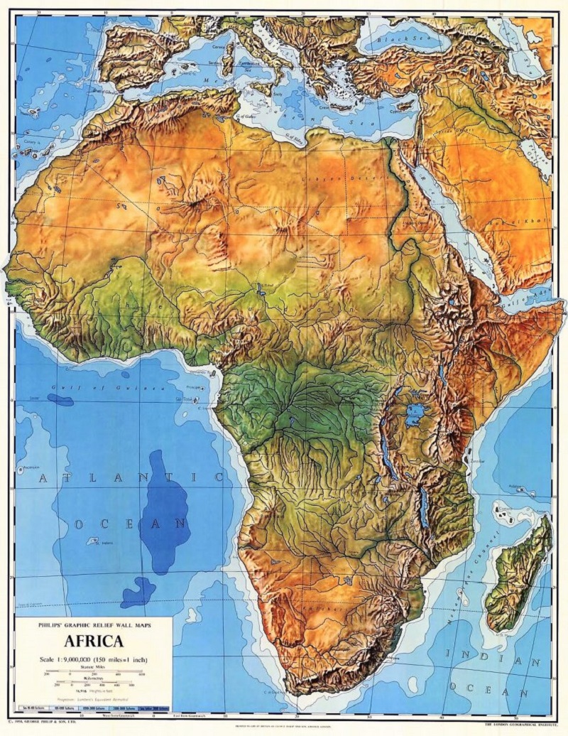 Movimientos progresistas de Ghana, Túnez y Suráfrica se incorporan a Jornada Mundial #NoMoreTrump