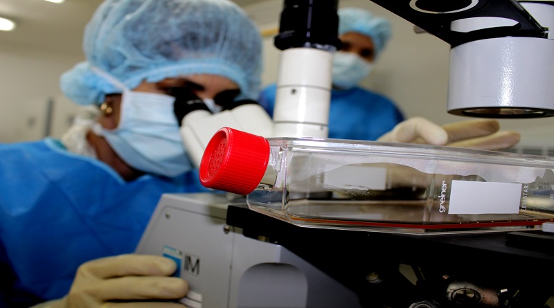IVIC produce con éxito células de la sangre en laboratorio