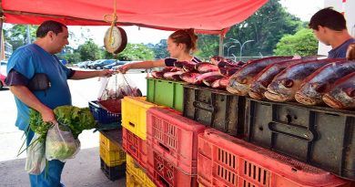 Alcaldía de Guaicaipuro impulsa la soberanía alimentaria en las siete parroquias que componen la municipalidad