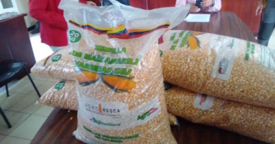 Entregan semillas certificadas a 57 productores en municipio Cárdenas de Táchira