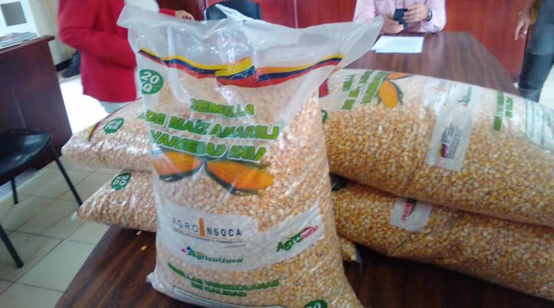 Entregan semillas certificadas a 57 productores en municipio Cárdenas de Táchira