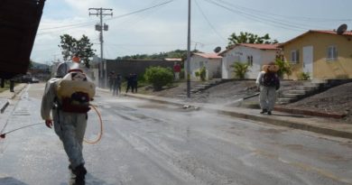 GMVV realiza jornada de desinfección y limpieza en urbanismo Paula María Nieves en Guárico