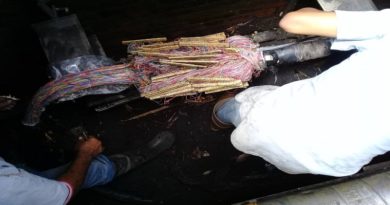 Cantv restituyó servicios de telecomunicaciones a 1.237 usuarios de Marigüitar y San Antonio del Golfo en Sucre