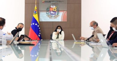 Consejo de Vicepresidente Sectorial evalúa diferentes políticas para proteger al pueblo venezolano