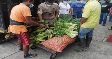 Donan más de 6.2 toneladas de verduras y hortalizas a casas de abrigo en Táchira