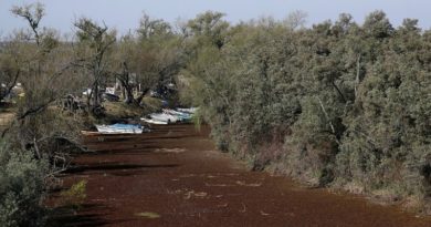 Botes varados en un humedal seco en la orilla del río Paraná, en Rosario, Argentina, el 8 de julio de 2021 (Agustin Marcarian / Reuters)