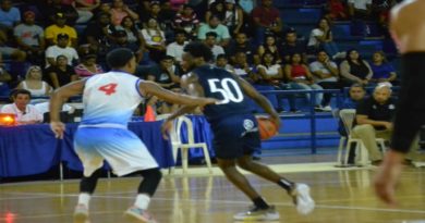 Llaneros obtiene segunda victoria ante Toros de Aragua