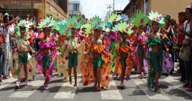 Temporadistas disfrutaron del desfile de carrozas y comparsas en Tucupita