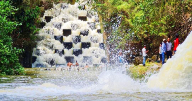Guárico ofrece más de 12 puntos turísticos para Carnavales 2023