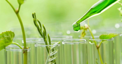 Desarrollarán proyecto basado en la Química verde para combatir enfermedades en cultivos
