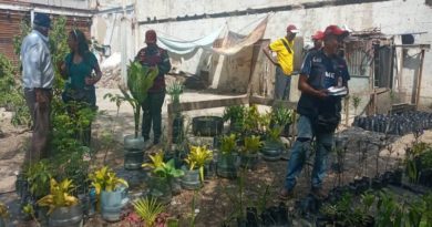Inspeccionan espacios de Caracas para fortalecer la producción agroalimentaria
