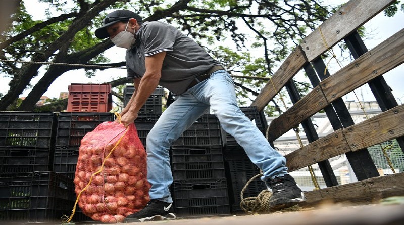 Plan Pueblo a Pueblo impulsa producción en 10 estados del pais