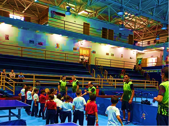Masificación Deportiva busca construir semillero olímpico del Tenis de Mesa