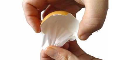 Plantean usar membrana de huevo como material de regeneración ósea
