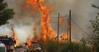 Incendios forestales en Córdoba causan daños incalculables