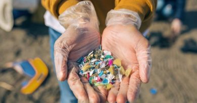 Diseñan proteína artificial capaz de filtrar y degradar plásticos