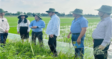 Ministro Castro Soteldo conoce experiencia sobre cultivos de arroz en Vietnam