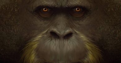 Expertos resuelven misterio de la extinción de primate gigante