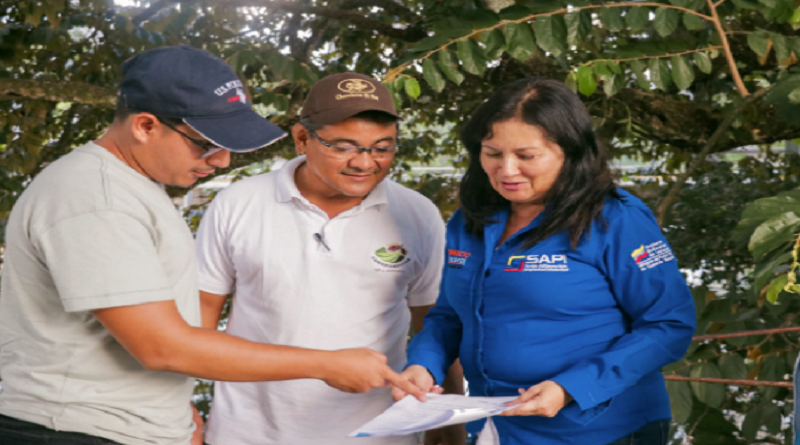 Productores de cacao realizan Indicación Geográfica Protegida en Barinas