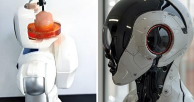 Crean robot con tejido cerebral humano