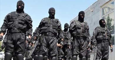 Irán detiene a terroristas extranjeros