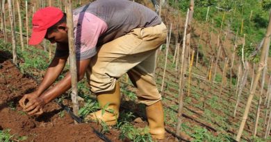 Productores de Yaracuy reciben insumos agrícolas para cultivo del café