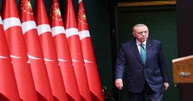 Presidente Erdogan pide a la ONU aprobar el uso de la fuerza contra Israel