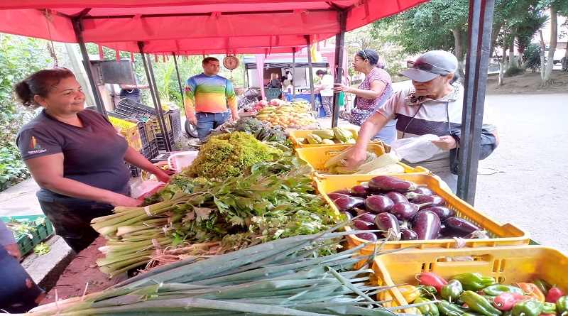 Mercado a cielo abierto favoreció a habitantes de El Encanto en Miranda