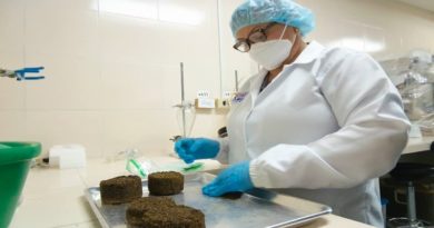 Investigadores crean solución nutricional innovadora para ganado en Zulia